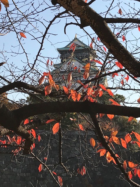 2017秋から冬へ　大阪城
