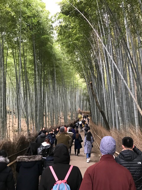 2018年1月28日（日）新春まるこ鈴虫寺～嵐山・嵯峨野を散策NWイベント