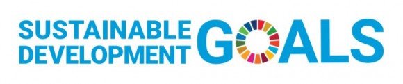 チームまるこノルディックウォーキングは持続可能な開発目標（SDGs）を支援しています。